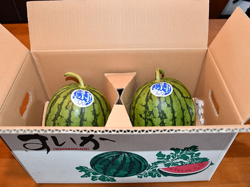 信州の小粋（ピノガール）