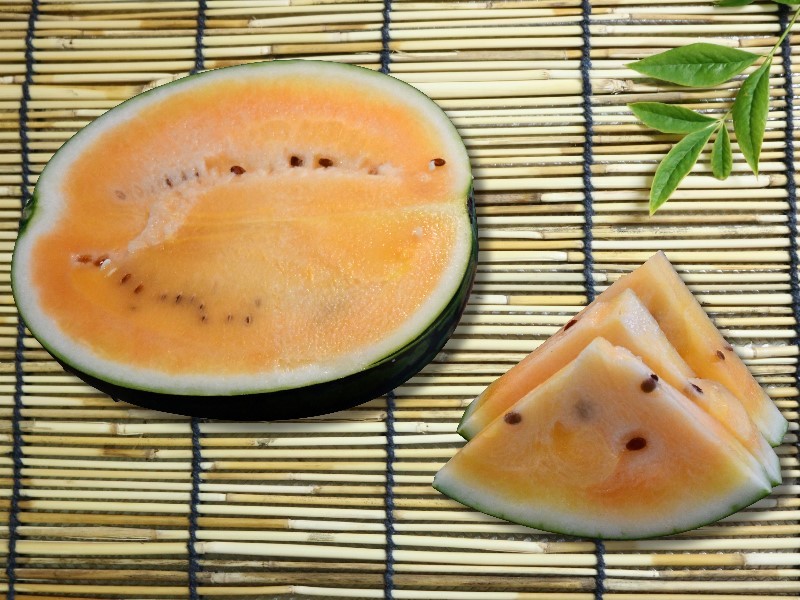 信州の黄昏（金色羅王）