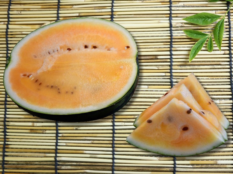 信州の黄昏（金色羅王）