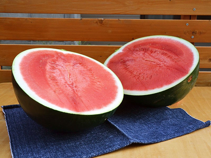 信州の極み スイカ通販