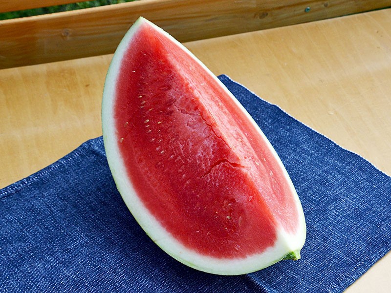 信州の極み スイカ通販