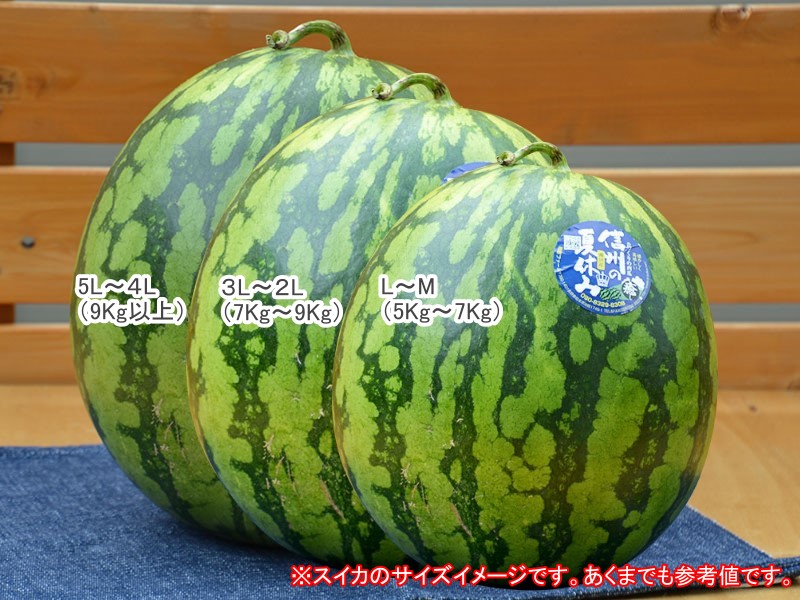 スイカサイズ